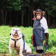 ヒメ日記 2025/06/25 18:06 投稿 ぷりん ギャルズネットワーク神戸