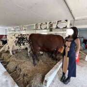 ヒメ日記 2025/10/02 16:06 投稿 ぷりん ギャルズネットワーク神戸