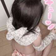 ヒメ日記 2025/11/10 02:46 投稿 ぷりん ギャルズネットワーク神戸