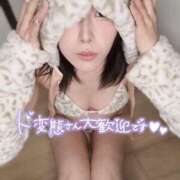 ヒメ日記 2025/12/24 18:16 投稿 ぷりん ギャルズネットワーク神戸