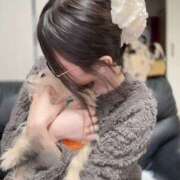 ヒメ日記 2026/01/27 06:36 投稿 ぷりん ギャルズネットワーク神戸