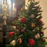 ヒメ日記 2025/12/28 19:05 投稿 なな アート姫