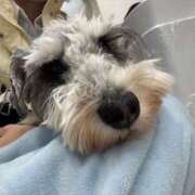 ヒメ日記 2026/01/27 18:24 投稿 なな アート姫