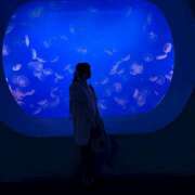 ヒメ日記 2025/11/15 15:25 投稿 つばき Vivienne池袋西口店