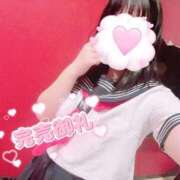 ヒメ日記 2024/12/28 01:20 投稿 さくら マネLOVE