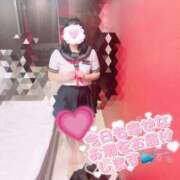 ヒメ日記 2025/01/05 11:46 投稿 さくら マネLOVE