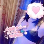 ヒメ日記 2025/02/04 00:01 投稿 さくら マネLOVE