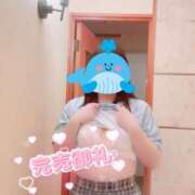 ヒメ日記 2025/03/10 18:07 投稿 さくら マネLOVE