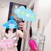 ヒメ日記 2025/04/12 08:04 投稿 さくら マネLOVE