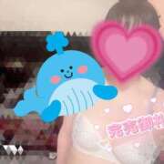 ヒメ日記 2025/04/15 23:46 投稿 さくら マネLOVE