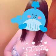 ヒメ日記 2025/04/16 23:32 投稿 さくら マネLOVE