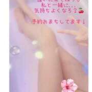 ヒメ日記 2025/05/04 13:50 投稿 こころ ラグーン豊橋