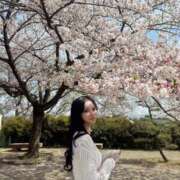 ヒメ日記 2025/04/12 12:05 投稿 せしる♡即プレイ可能♡ Q-STORY