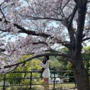 ヒメ日記 2025/04/15 13:05 投稿 せしる♡即プレイ可能♡ Q-STORY