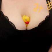 ヒメ日記 2025/03/21 13:49 投稿 みお ぽっちゃりデリヘル倶楽部