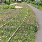 ヒメ日記 2025/09/16 12:40 投稿 ゆりこ 逢って30秒で即尺