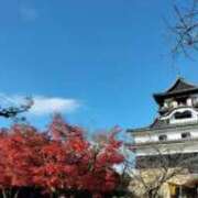 ヒメ日記 2025/10/12 10:20 投稿 ゆりこ 逢って30秒で即尺