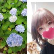 ヒメ日記 2025/12/15 09:27 投稿 ゆりこ 逢って30秒で即尺