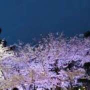 ヒメ日記 2026/01/06 12:14 投稿 ゆりこ 逢って30秒で即尺