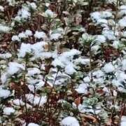 ヒメ日記 2026/01/23 10:41 投稿 ゆりこ 逢って30秒で即尺