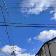 ヒメ日記 2026/01/25 11:52 投稿 ゆりこ 逢って30秒で即尺