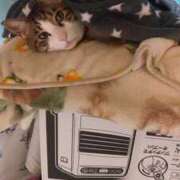 ヒメ日記 2026/02/25 08:26 投稿 ゆりこ 逢って30秒で即尺