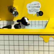 ヒメ日記 2026/02/25 19:00 投稿 ゆりこ 逢って30秒で即尺