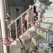 ヒメ日記 2026/02/28 10:32 投稿 ゆりこ 逢って30秒で即尺