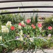 ヒメ日記 2026/03/20 10:40 投稿 ゆりこ 逢って30秒で即尺