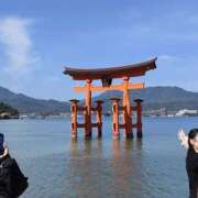 ヒメ日記 2026/03/20 14:15 投稿 ゆりこ 逢って30秒で即尺