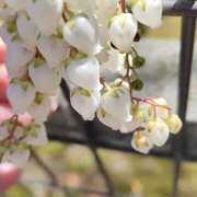 ヒメ日記 2026/03/28 14:43 投稿 ゆりこ 逢って30秒で即尺