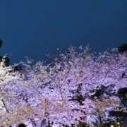 ヒメ日記 2026/03/31 06:58 投稿 ゆりこ 逢って30秒で即尺