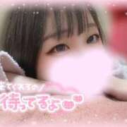 ヒメ日記 2025/02/02 10:02 投稿 はづき ホワイトハウス