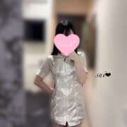 ヒメ日記 2025/11/23 11:36 投稿 すい 秋葉原 添い寝女子