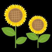 ヒメ日記 2025/08/06 09:29 投稿 片峰ねいろ 一夜妻