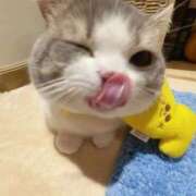 ヒメ日記 2024/12/21 02:04 投稿 ねこ ナメすぎサークル立川店