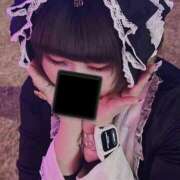 ヒメ日記 2024/12/28 02:50 投稿 ねこ ナメすぎサークル立川店