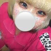 ヒメ日記 2024/12/29 15:01 投稿 ねこ ナメすぎサークル立川店