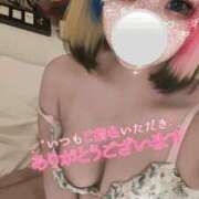 ヒメ日記 2024/12/31 05:00 投稿 ねこ ナメすぎサークル立川店