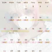 ヒメ日記 2025/01/06 10:01 投稿 ねこ ナメすぎサークル立川店