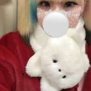 ヒメ日記 2025/01/06 15:00 投稿 ねこ ナメすぎサークル立川店