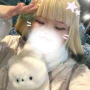 ヒメ日記 2025/01/18 05:00 投稿 ねこ ナメすぎサークル立川店