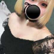 ヒメ日記 2025/01/20 01:15 投稿 ねこ ナメすぎサークル立川店