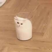 ヒメ日記 2025/01/21 05:00 投稿 ねこ ナメすぎサークル立川店