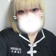 ヒメ日記 2025/01/27 10:04 投稿 ねこ ナメすぎサークル立川店