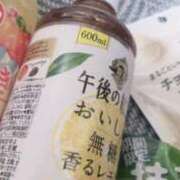 ヒメ日記 2025/01/27 12:50 投稿 ねこ ナメすぎサークル立川店