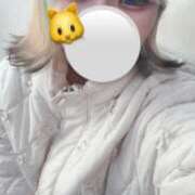 ヒメ日記 2025/01/29 11:41 投稿 ねこ ナメすぎサークル立川店