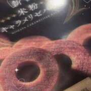 ヒメ日記 2025/02/01 17:04 投稿 ねこ ナメすぎサークル立川店