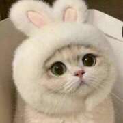 ヒメ日記 2025/02/17 05:25 投稿 ねこ ナメすぎサークル立川店