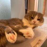 ヒメ日記 2025/08/15 17:51 投稿 みな ナメすぎサークル立川店